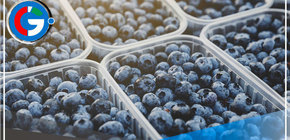 INACAL difundirá a productores y mypes la aplicación de normas técnicas peruanas en cadenas productivas