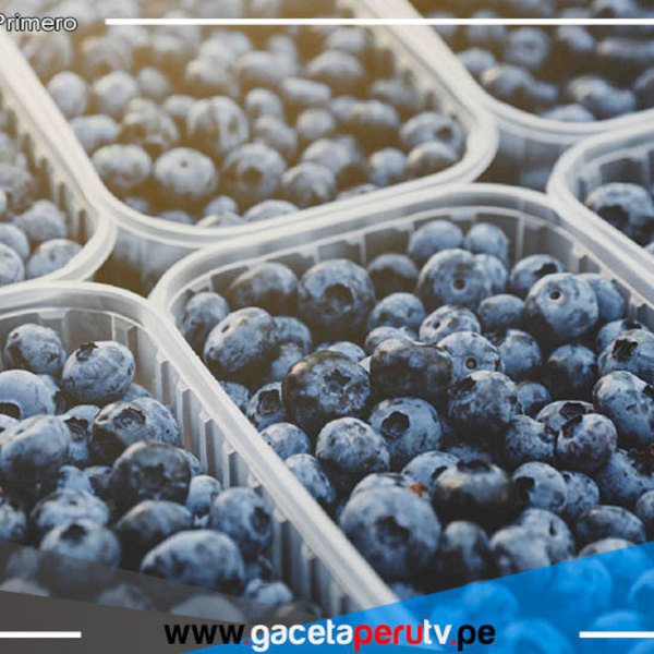 INACAL difundirá a productores y mypes la aplicación de normas técnicas peruanas en cadenas productivas