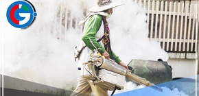 Dengue en el país: Más de 80 mil hogares serán fumigados en Tumbes 