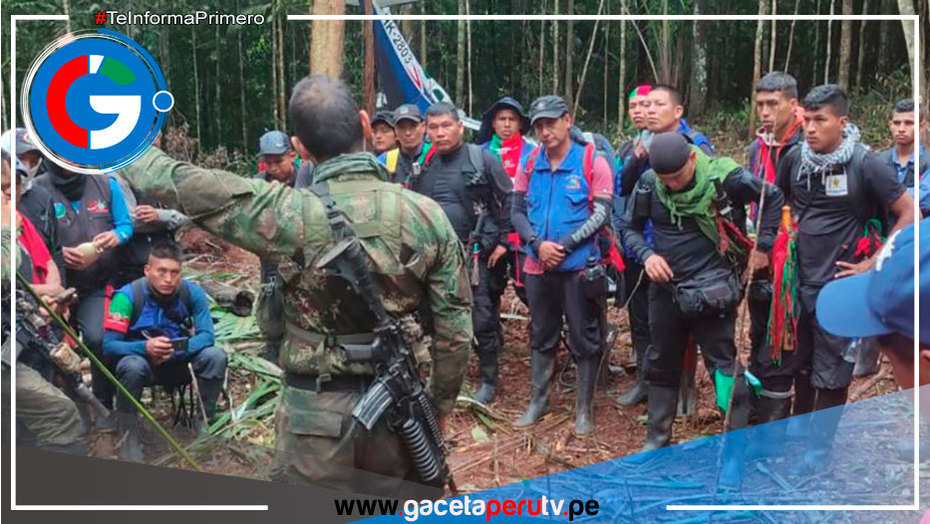 Durante 40 días, los niños indígenas de Colombia se encontraron en la selva amazónica, ¿Cómo es la densa selva en la Amazonía?