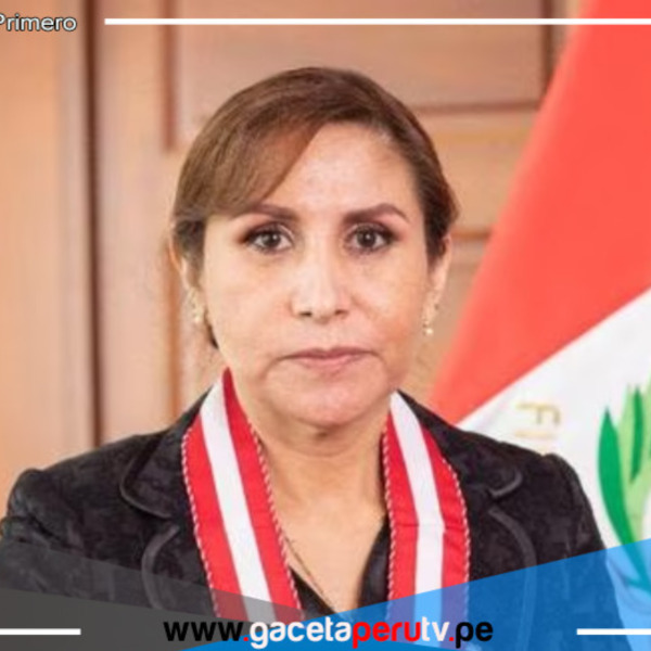 Acusan a Patricia Benavides de "autoplagio" para ser fiscal de la Nación