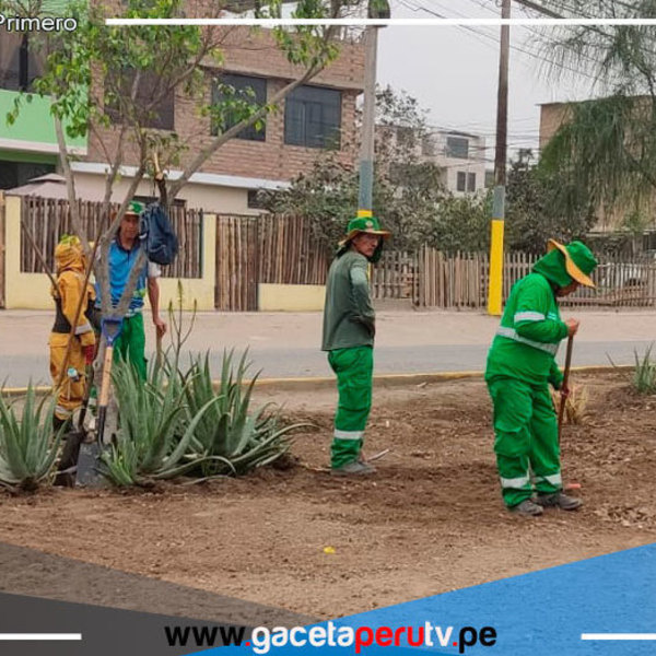 En comas siembran más de 200 plantones de árboles en “Alameda Sangarará”  