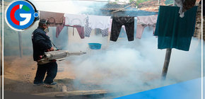 Fumigarán más de 8 mil viviendas por campaña contra dengue en Piura