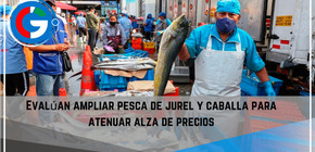 Evalúan  ampliar pesca de jurel y caballa para atenuar alza de precios.