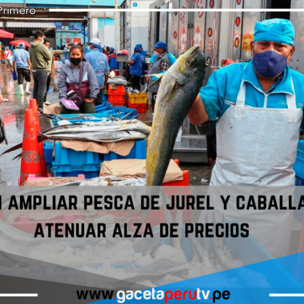 Evalúan  ampliar pesca de jurel y caballa para atenuar alza de precios.