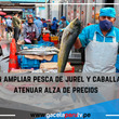 Evalúan  ampliar pesca de jurel y caballa para atenuar alza de precios.
