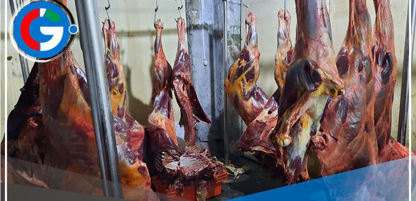 Ate: Local vendía carne de caballo haciéndolo pasar por carne de res de primera