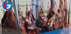 Ate: Local vendía carne de caballo haciéndolo pasar por carne de res de primera