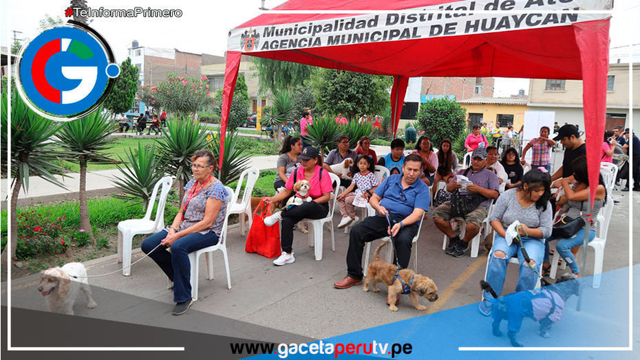 En Ate alistan campaña veterinaria municipal por 39 Aniversario de Huaycán