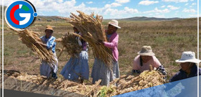 Lurawi Perú : Ministro de Trabajo anunció más de 6,000 nuevos empleos temporales en Puno