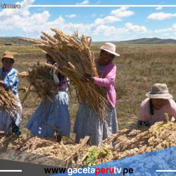 Lurawi Perú : Ministro de Trabajo anunció más de 6,000 nuevos empleos temporales en Puno