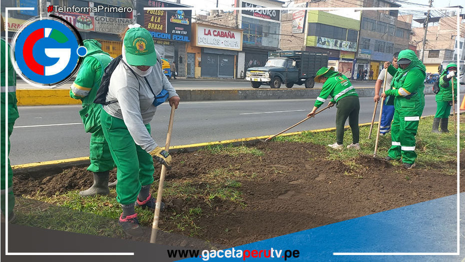 Continúan los trabajos de recuperación de la Av. Túpac Amaru para el gran desfile escolar en Comas