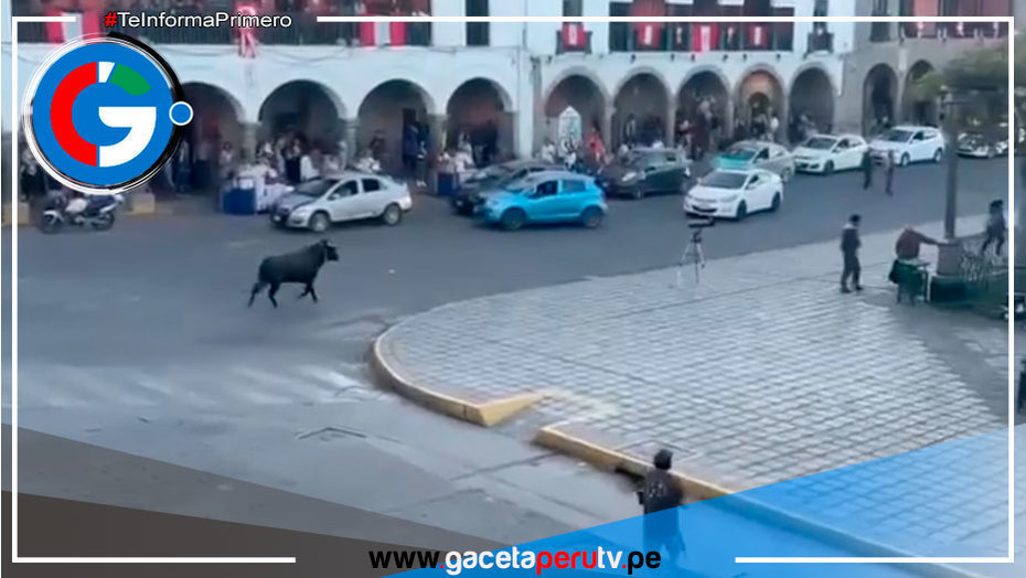 Toro desata terror en Huamanga: cornea a más de cinco personas y causa daños a vehículos