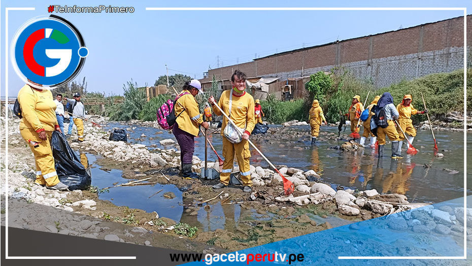 Cuadrilla retira una tonelada de desechos orgánicos en el río Chillón - Comas