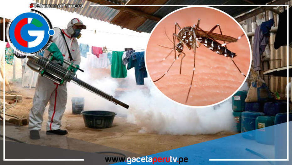 Aumentan los Casos de Dengue en Perú: Preocupación por Incremento en Varias Regiones