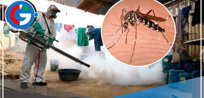 Aumentan los Casos de Dengue en Perú: Preocupación por Incremento en Varias Regiones