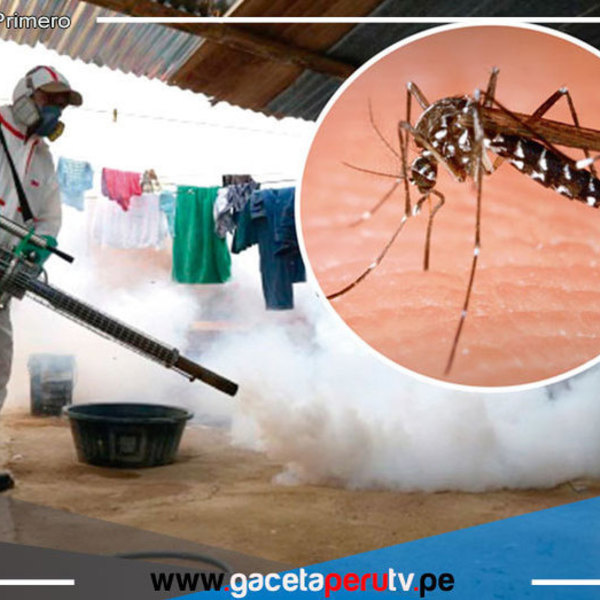 Aumentan los Casos de Dengue en Perú: Preocupación por Incremento en Varias Regiones