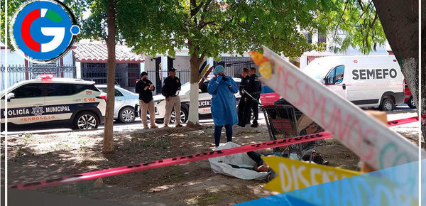 México reporta muerte de 20 personas en una sola semana en Sonora 
