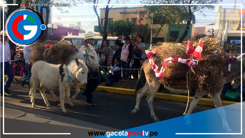 Arequipeños vuelven a disfrutar de la tradicional entrada de ccapo