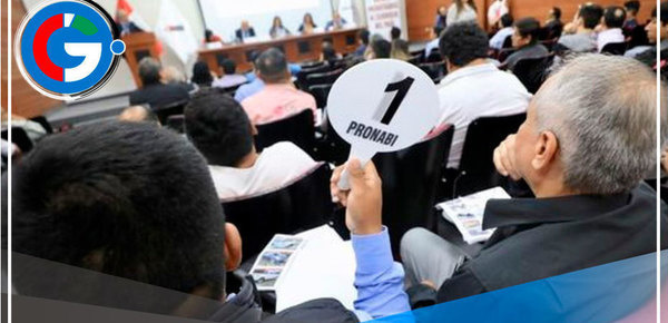 Subastarán casas y departamentos en San Borja, Barranco y Surco: cómo participar 