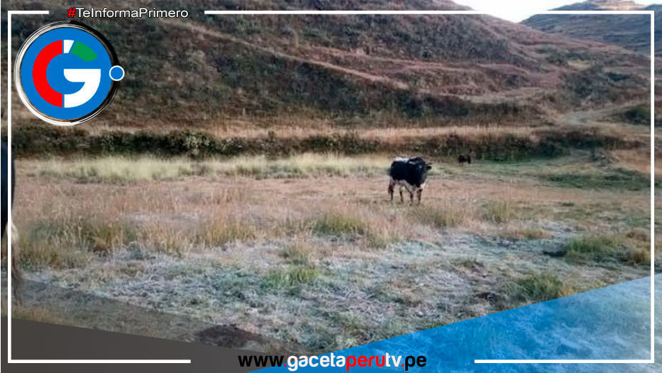 Descenso de Temperatura en Áncash Causa 22 Afectados por Infecciones Respiratorias y Daño a Cultivos