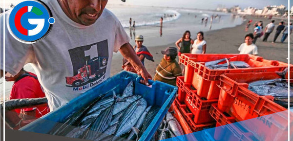 Oficializan pensión mínima de S/ 360 para pescadores 