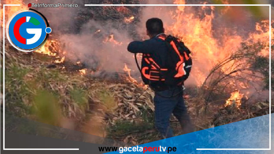Apurímac: incendio forestal se reactiva por vientos fuertes