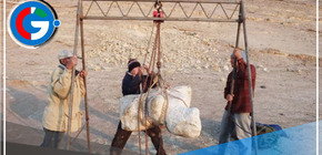 Descubren el fósil de Perucetus colossus, el animal más masivo que habitó la Tierra