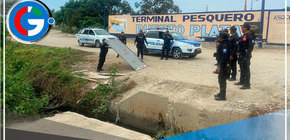 Tumbes: Destruyen puentes clandestinos para evitar el ingreso de migrantes ilegales 