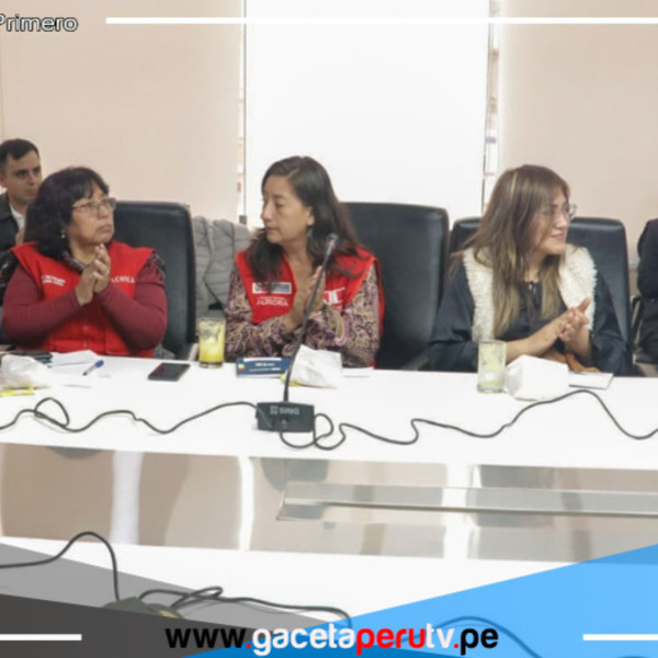 Ate: Acuerdan realizar operativos contra prostitución y mercados de objetos robados