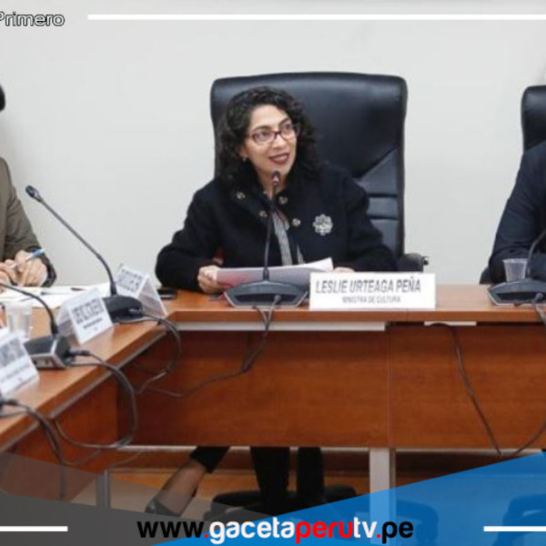 Nuevo proyecto de ley permitirá acceso de libros a personas vulnerables