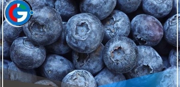 Agroexportaciones en peligro para el 2024 por impacto del Fenómeno del Niño