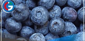 Agroexportaciones en peligro para el 2024 por impacto del Fenómeno del Niño