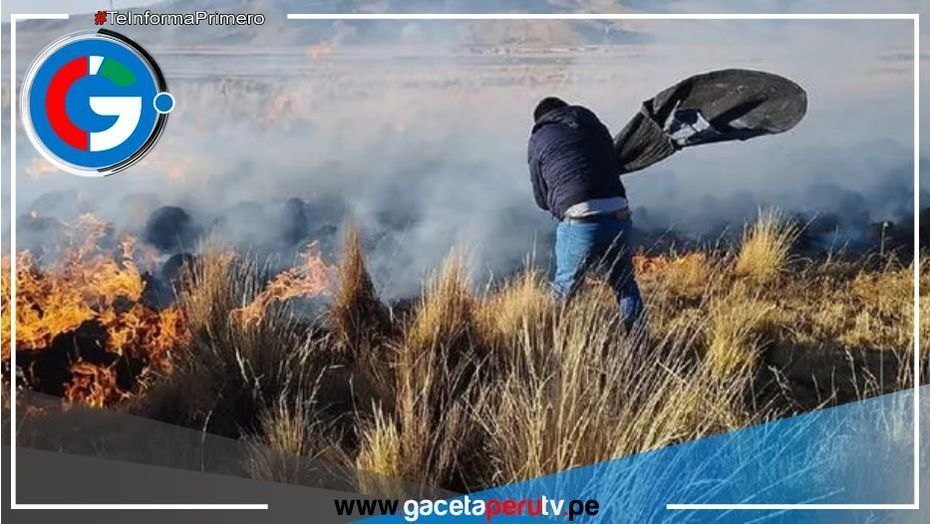 Incendio forestal deja al menos un muerto y quince ovejas calcinadas