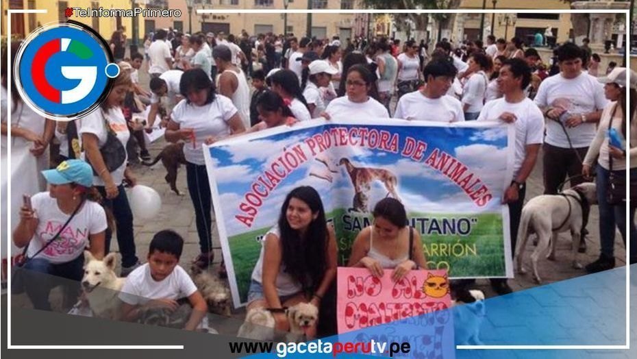 Protestan tras dejar en libertad a sujeto acusado de abusar de una perrita