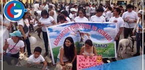 Protestan tras dejar en libertad a sujeto acusado de abusar de una perrita