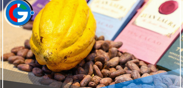 INACAL promueve estándares de calidad en la cadena de valor del cacao en el Vraem