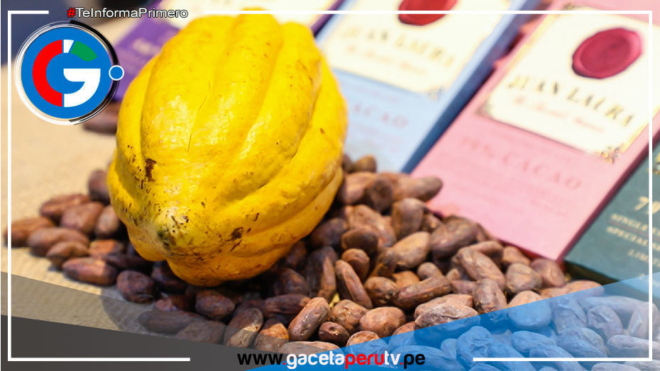 INACAL promueve estándares de calidad en la cadena de valor del cacao en el Vraem