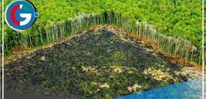 PERUMIN: Relanzan campaña por la conservación de la Amazonía ante debate por minería ilegal