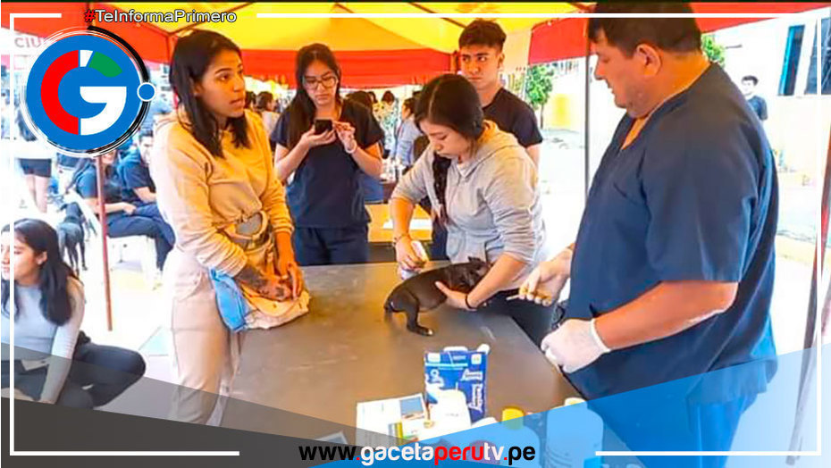Exitosa mega campaña de atención veterinaria a mascotas en Comas
