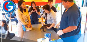 Exitosa mega campaña de atención veterinaria a mascotas en Comas