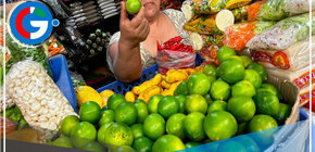 Alza de precio del limón lo coloca en posible aumento de importación por el Gobierno para incrementar su oferta