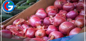 Aumento sin precedentes: La cebolla roja alcanza un precio histórico