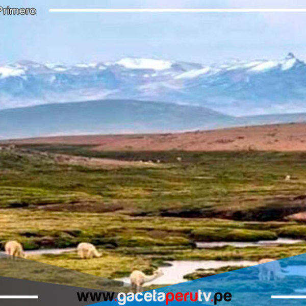 Diversas regiones del país recibirán 5 mil kits para protección y uso sostenible de bofedales