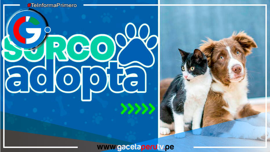 Surco lanza plataforma para adoptar animales abandonados