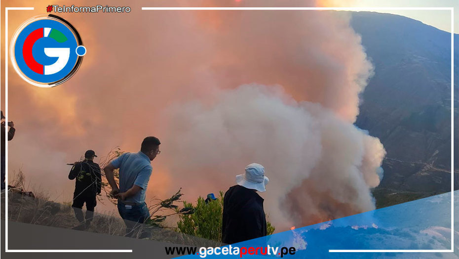 Más de 40 incendios forestales se registraron en Ayacucho en lo que va del año
