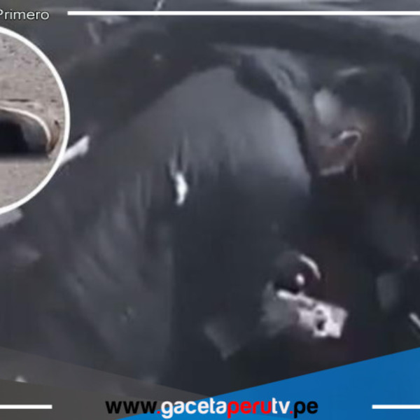 Solicitan S/60.000 de indemnización por muerte de delincuente a manos de ingeniero en Trujillo