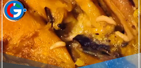 Restaurante "Rancho Grande" Sancionado y Clausurado por Condiciones Insalubres