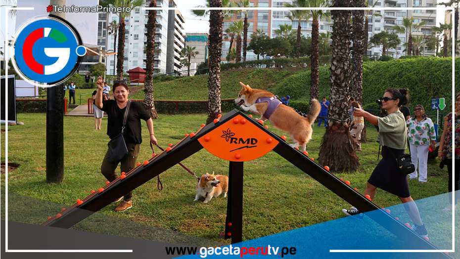 Miraflores presenta 10 caniles para los amigos de cuatro patas