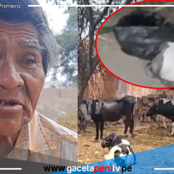 Ganadero de 64 Años Sobrevive a Asalto de Abigeos en Monsefú